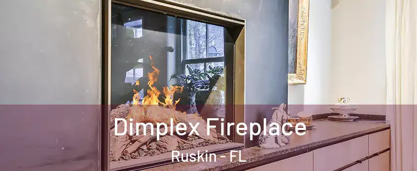  Dimplex Fireplace Ruskin - FL