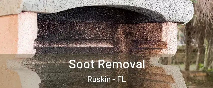  Soot Removal Ruskin - FL